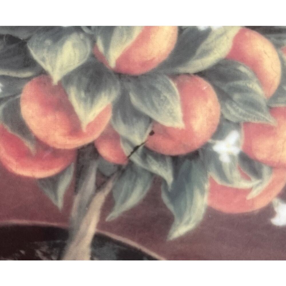 Rochard Limoges Topiary Fruit Tree Salad Plates Set of 4 France 7.75 in - Picture 10 of 10
